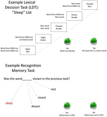 Novel Approaches and Cognitive Neuroscience Perspectives on False Memory and Deception